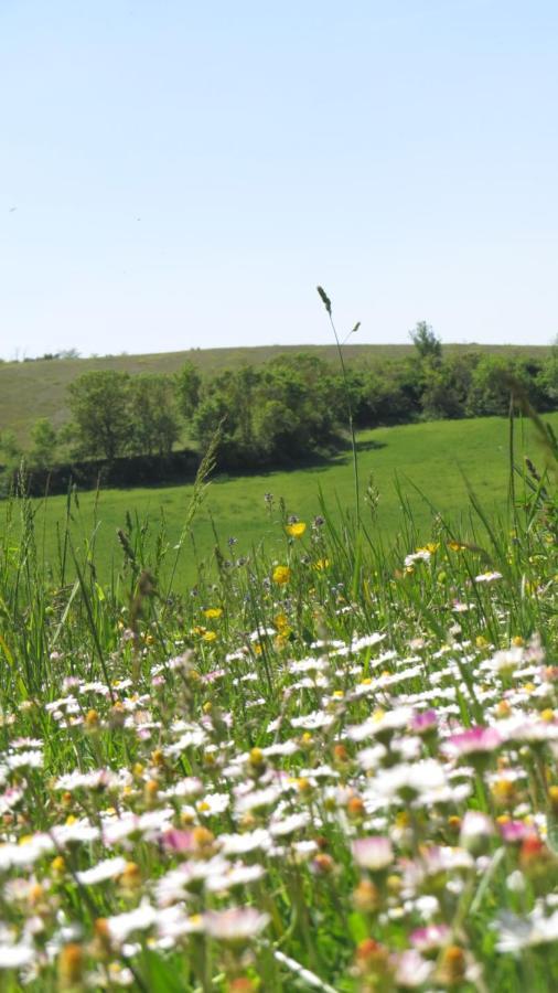 Nature'S Pace Holidays Montmaur  Esterno foto