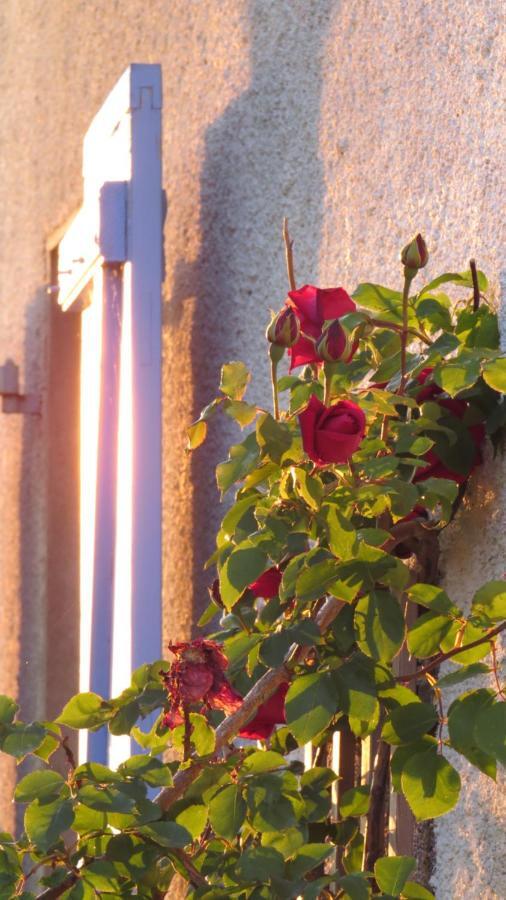 Nature'S Pace Holidays Montmaur  Esterno foto