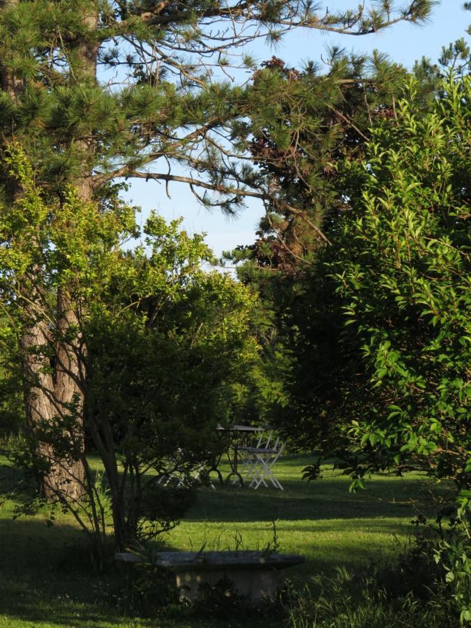 Nature'S Pace Holidays Montmaur  Esterno foto